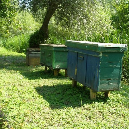Pelican City Vylkove Ngoại thất bức ảnh