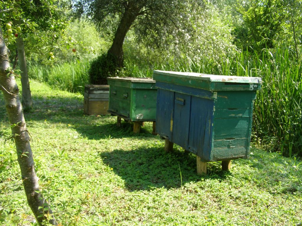 Pelican City Vylkove Ngoại thất bức ảnh